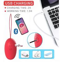 Erofoni LS-0172-APP Telefon Uyumlu Usb Şarjlı App Uygulamalı Titreşimli Su Geçirmez Vibratör