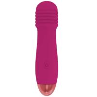 Erofoni LS-25002 Usb Şarjlı 12 Cm Teknolojik 11 Hız Güçlü Titreşimli Yüksek Kalite Vibratör