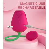 Erofoni LS21-0421-01 Usb Şarjlı Klitoris Emici ve Teknolojik 10 Hız Titreşimli Çift Motorlu Realistik Rose Gül Vibratör